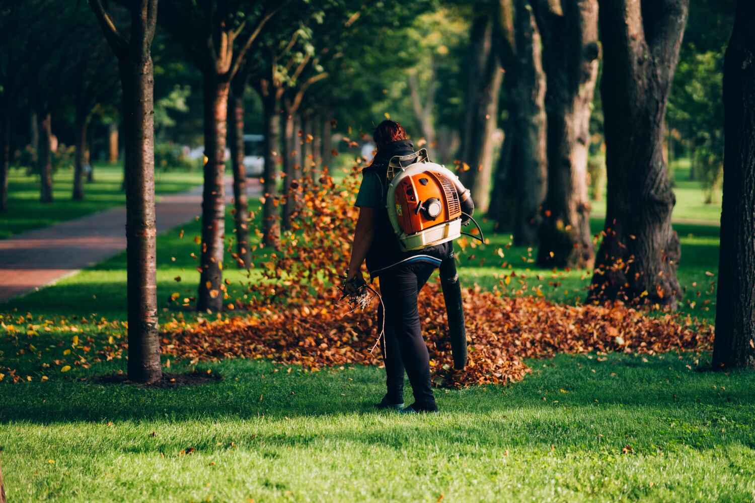 Best Residential Tree Removal  in Freeport, FL